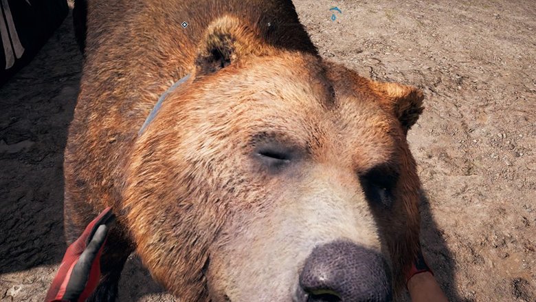 All Far Cry 5 Pets And Where To Find Them