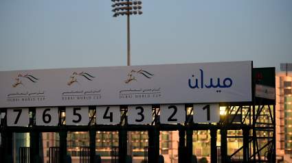 Dubai World Cup 2018 Live Stream: How to Watch Online