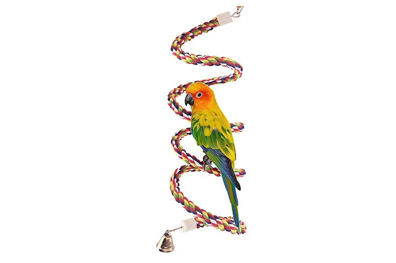 Parrot Perch Pet Bird Polly Portable Perch Stand 