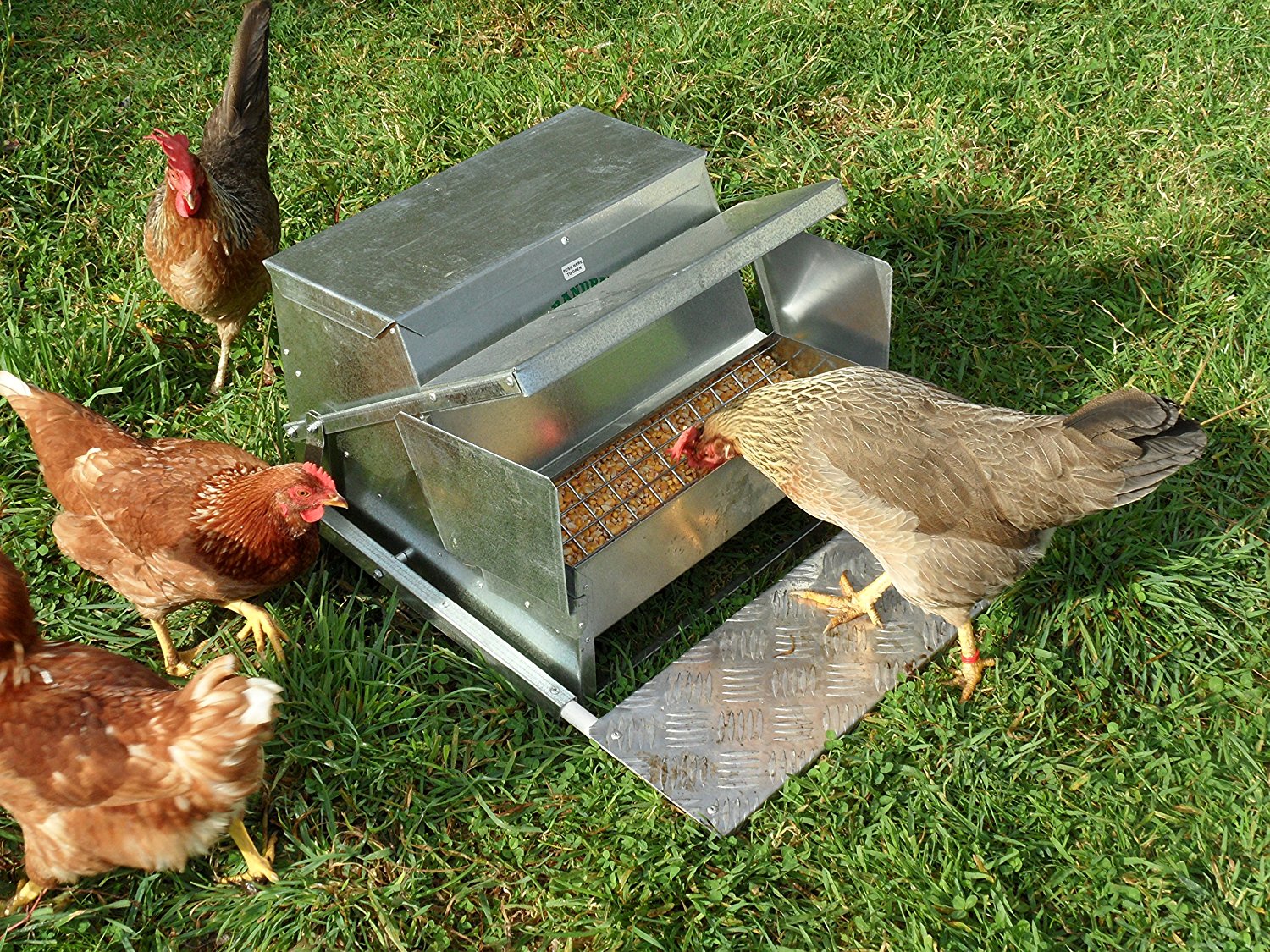 diy chicken feeder for large flock