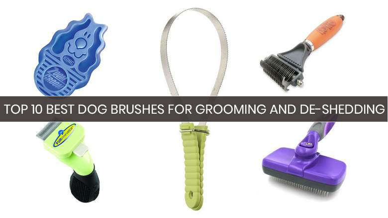 what is the best dog brush for shedding