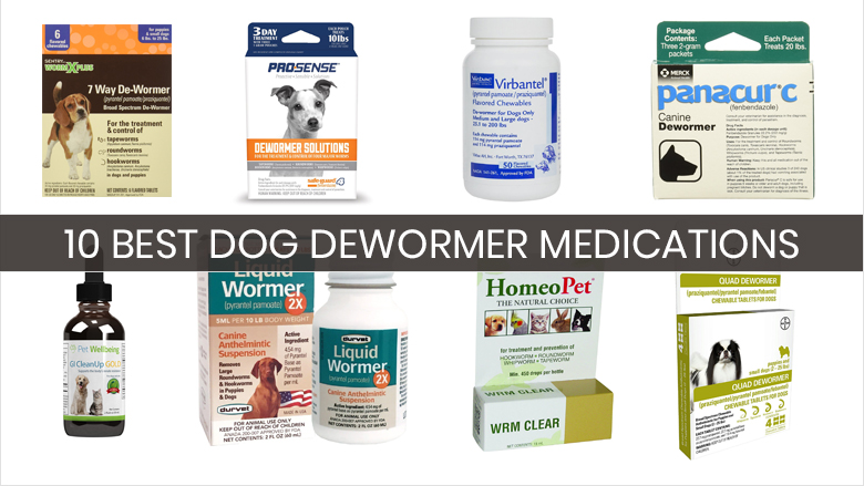 best wormer and flea treatment for dogs