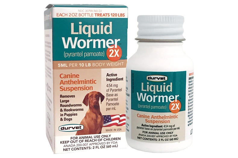 best worm meds for dogs