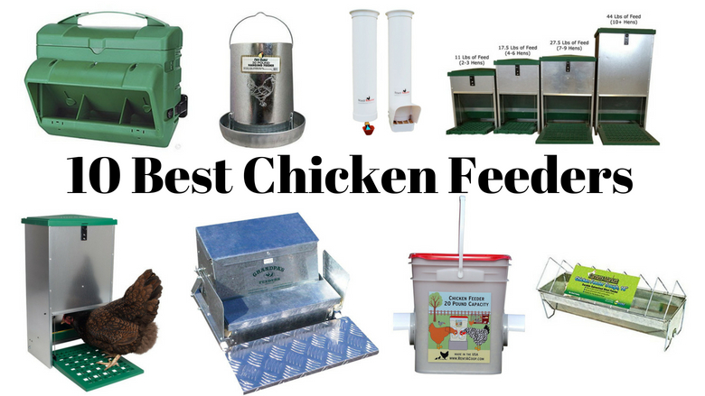Automatic Chicken Feeder Sturdy Galvanized Steel Poultry Feeders With Weatherpro 