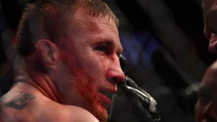 UFC Fight Night Glendale Live Stream: How to Watch Online Without Cable