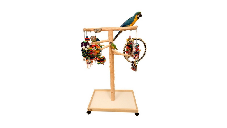 image of large parrot wizard parrot tree perch, bird perch, parrot perch, parrot stand, parrot play stand