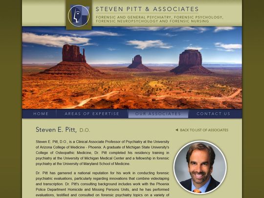 Steven Pitt & Associates