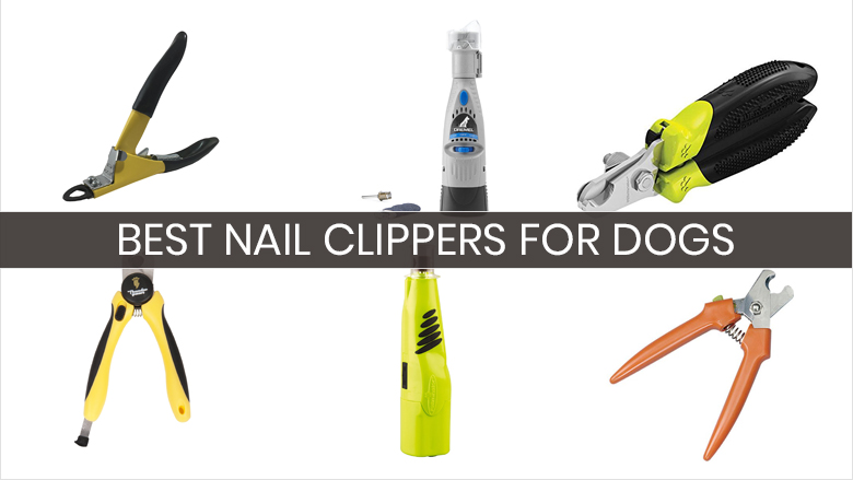 best nail trimmer for large dogs