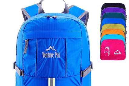 venture pal travel backpack