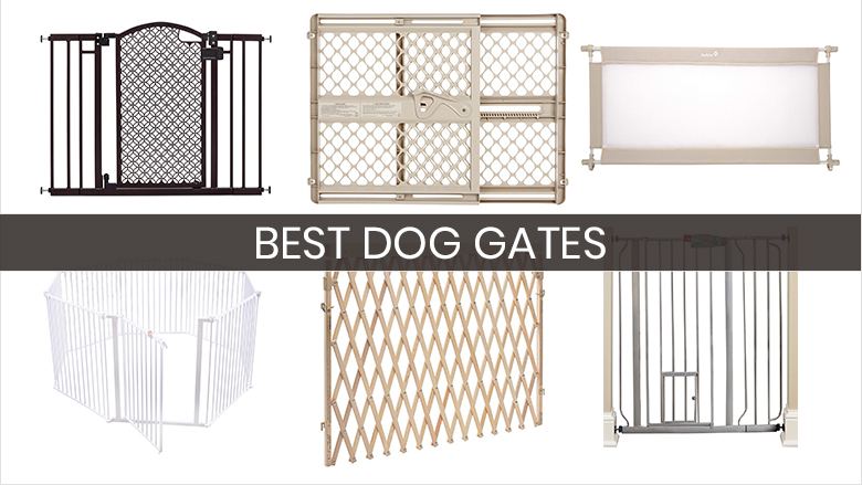 dog gate