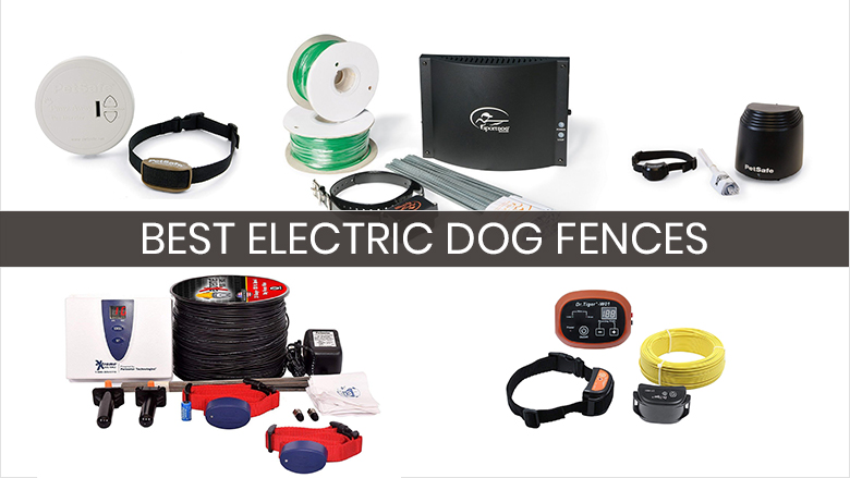 best electric dog fence 2018