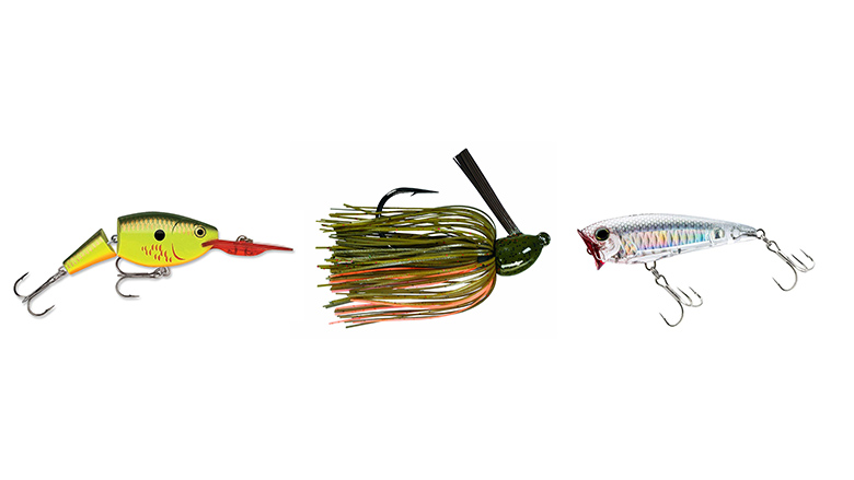11 Best Fall Bass Lures: Compare & Save (2022)