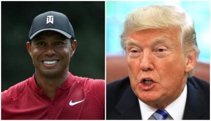 Tiger Woods & Donald Trump: 5 Fast Facts You Need to Know