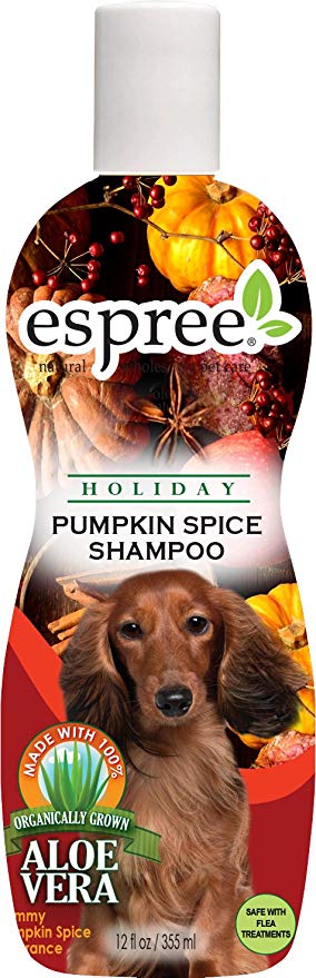 pumpkin spice dog shampoo