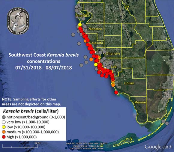 Red Tide Map Status of Red Tide Near Me Right Now [August 10]
