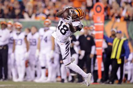 DraftKings Week 2 Showdown: Ravens vs. Bengals Top Optimal Lineups