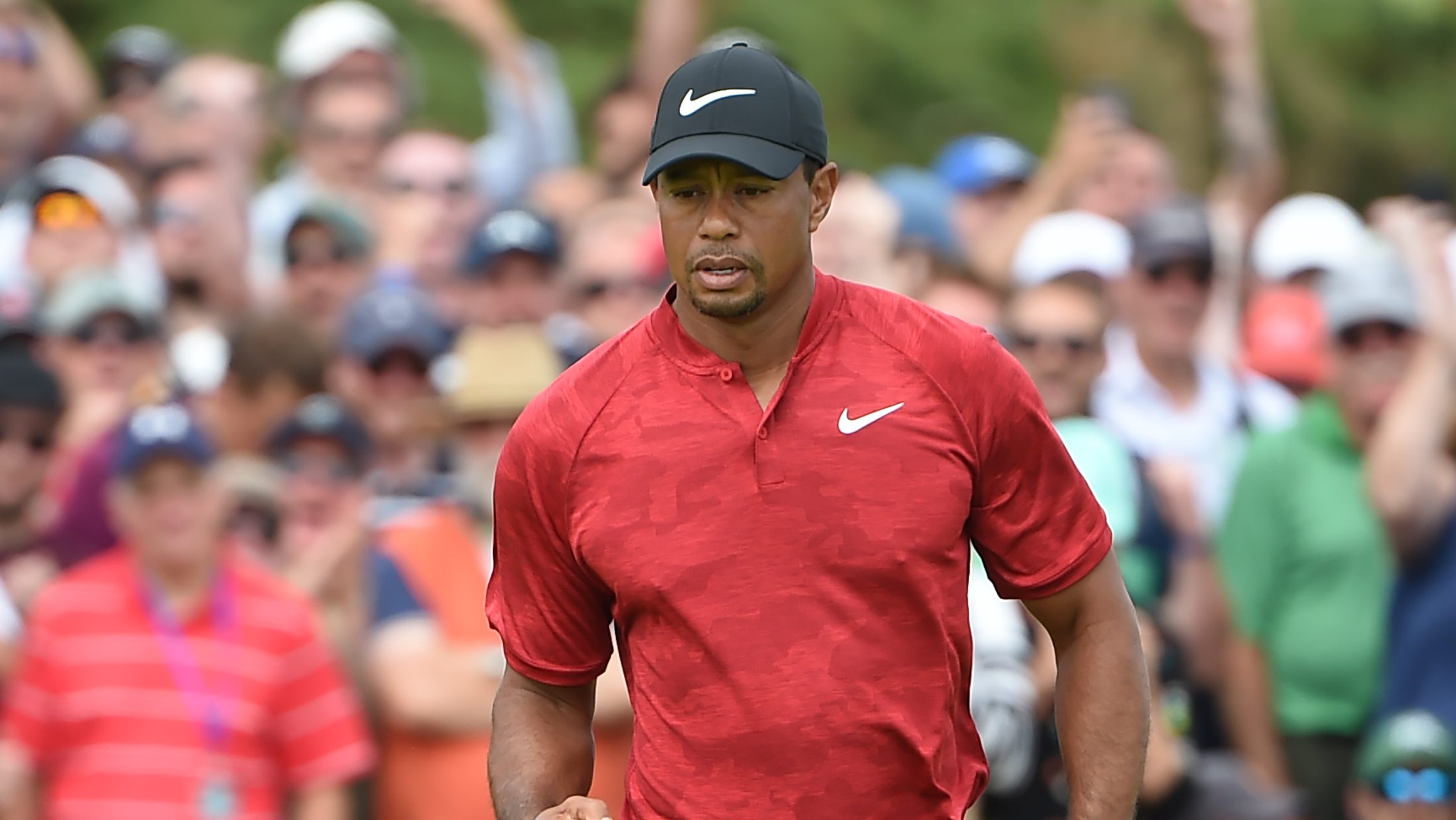 tiger woods red polo shirt