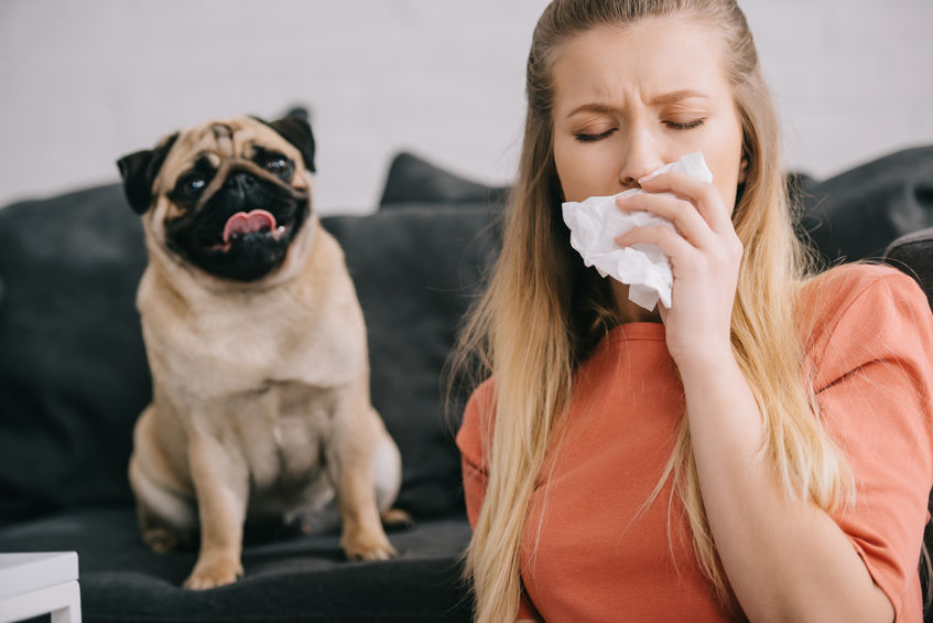 best air purifier for dog dander