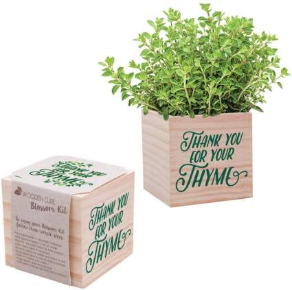 Thank You for Your Thyme