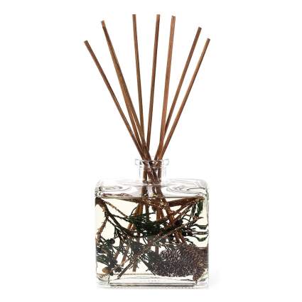 Reed diffuser witih pinecones in oil