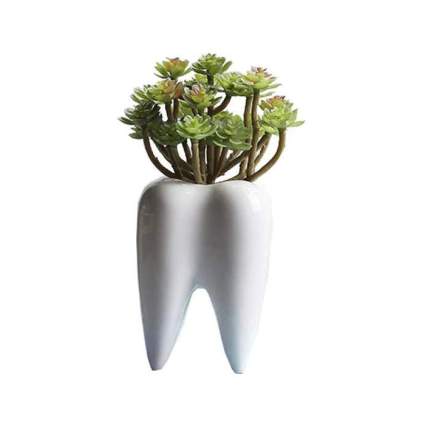 Tooth planter