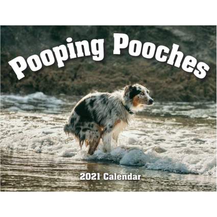 Pooping Pooches calendar