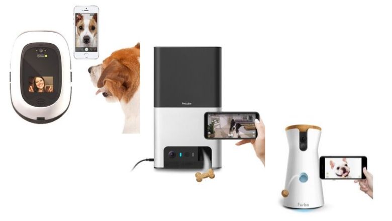 best wireless pet camera