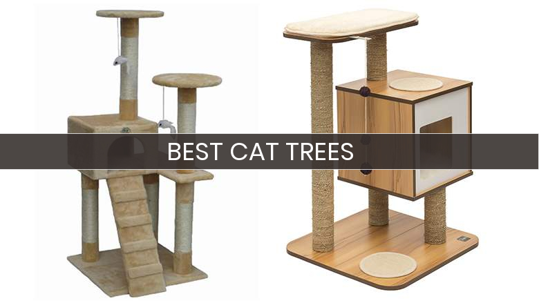 best deals on cat trees