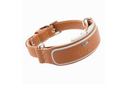 link akc smart dog collar