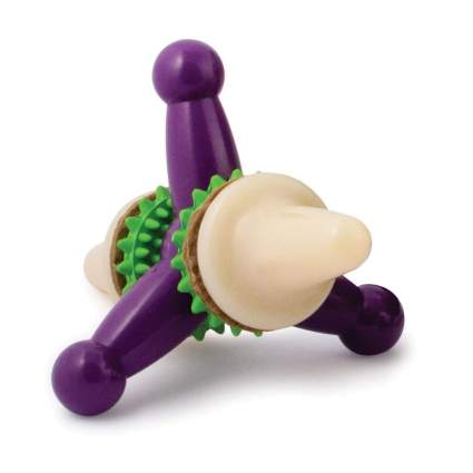 PetSafe indescructible dog toy