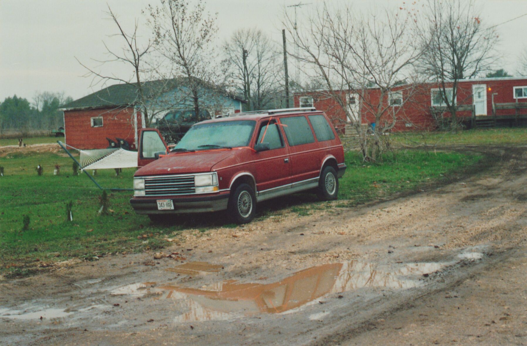 steven Avery