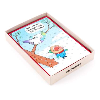 Hallmark Shoebox Funny Holiday Boxed Cards, Snowbirds