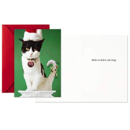 Hallmark Shoebox Funny Christmas Boxed Cards, Cat with Jingle Bells