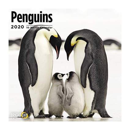 Penguin calendar