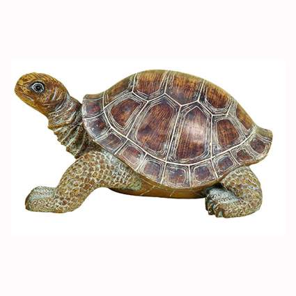 31 Best Turtle Gifts: The Ultimate List (2021) | Heavy.com