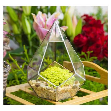 hanging glass terrarium planter