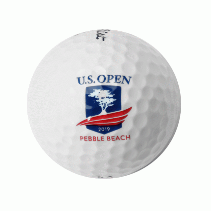 titleist us open golf balls