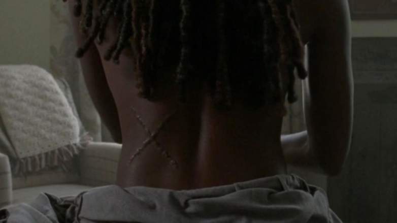 Michonne X Scar
