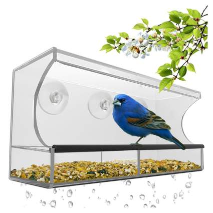 49 Best Gifts for Bird Lovers: The Ultimate List (2021) | Heavy.com