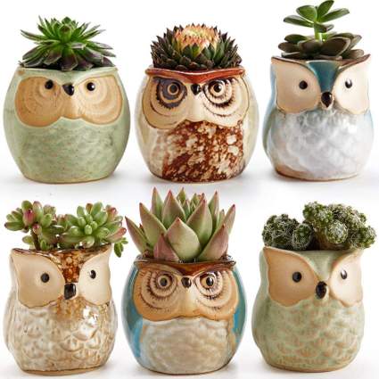 Set of 6 Ceramic Owl Planters