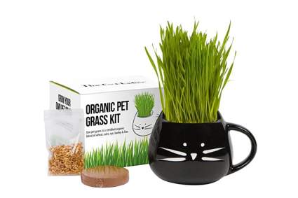 Pet Grass Growing Kit