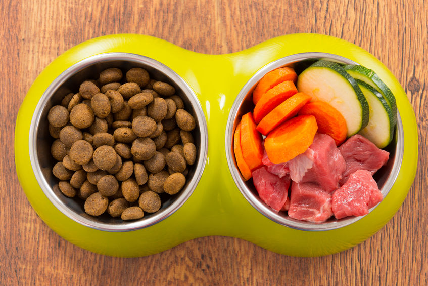 5 Best Homemade Dog Food Recipes Your Dog Will Love (2020)