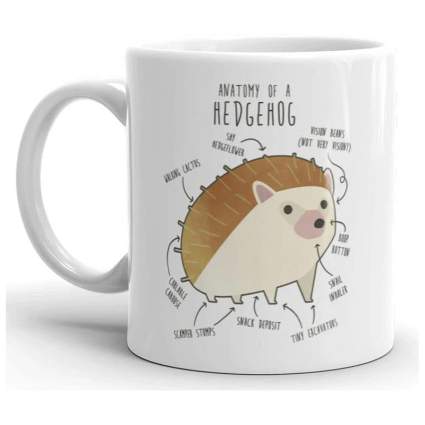 Anatomy of a hedgehog illustration coffee cup
