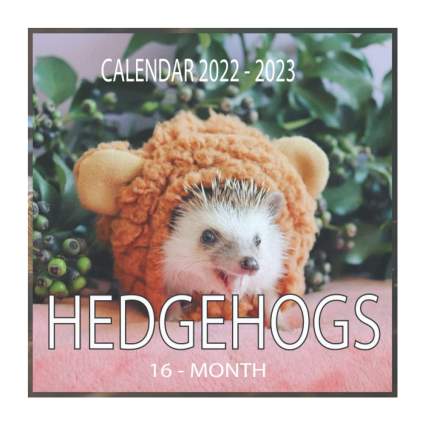 Hedgehog calendar