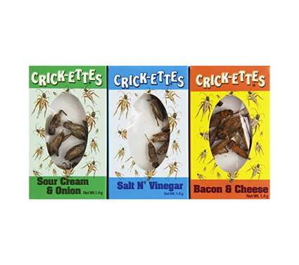 boxes of cricket snacks