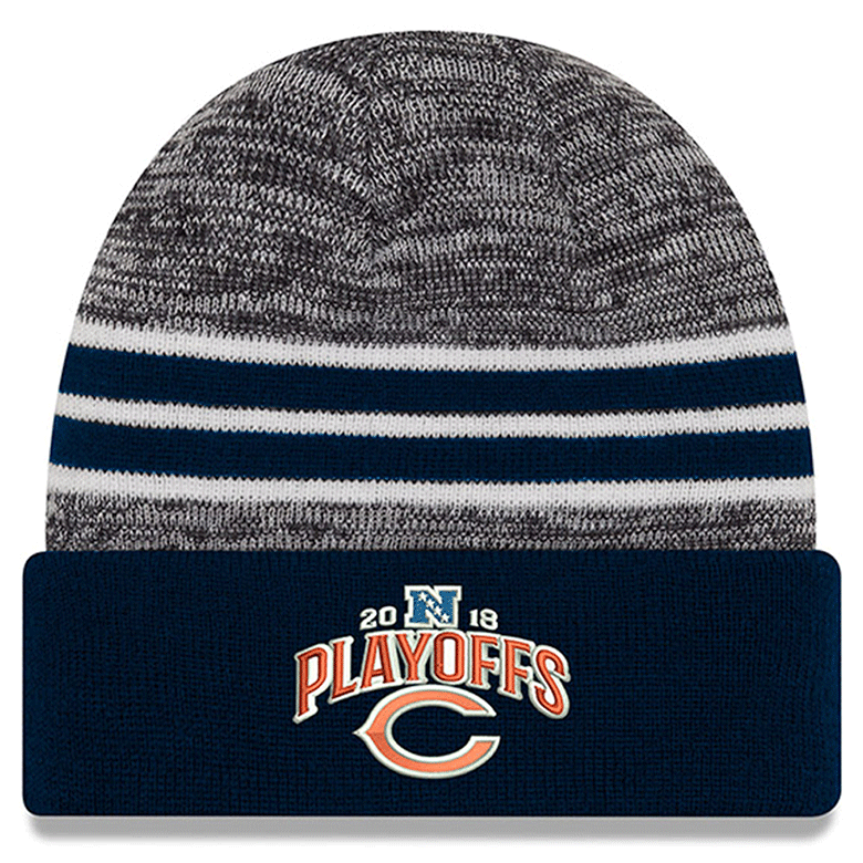 bears nfc north champions hat