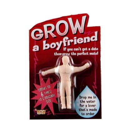 grow a boyfriend