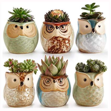 ceramic owl succulent pot set