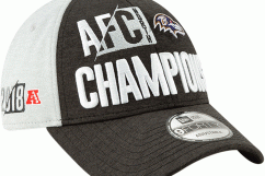 Baltimore Ravens 2018 AFC North Champions Commemorative Page