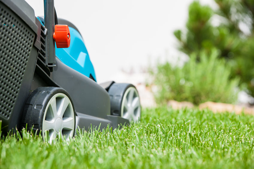 7 Best Lawn Mowers Under 300 2023